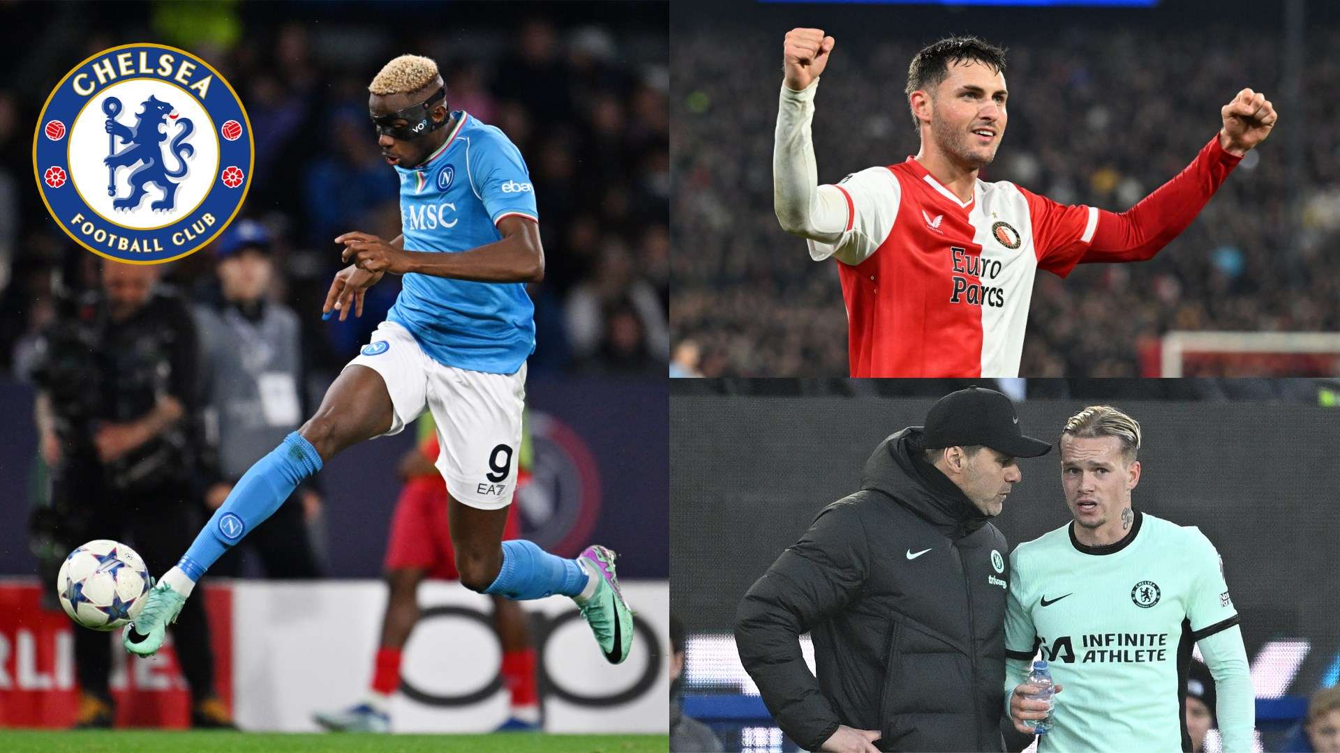 返赛场的担 返赛场的担