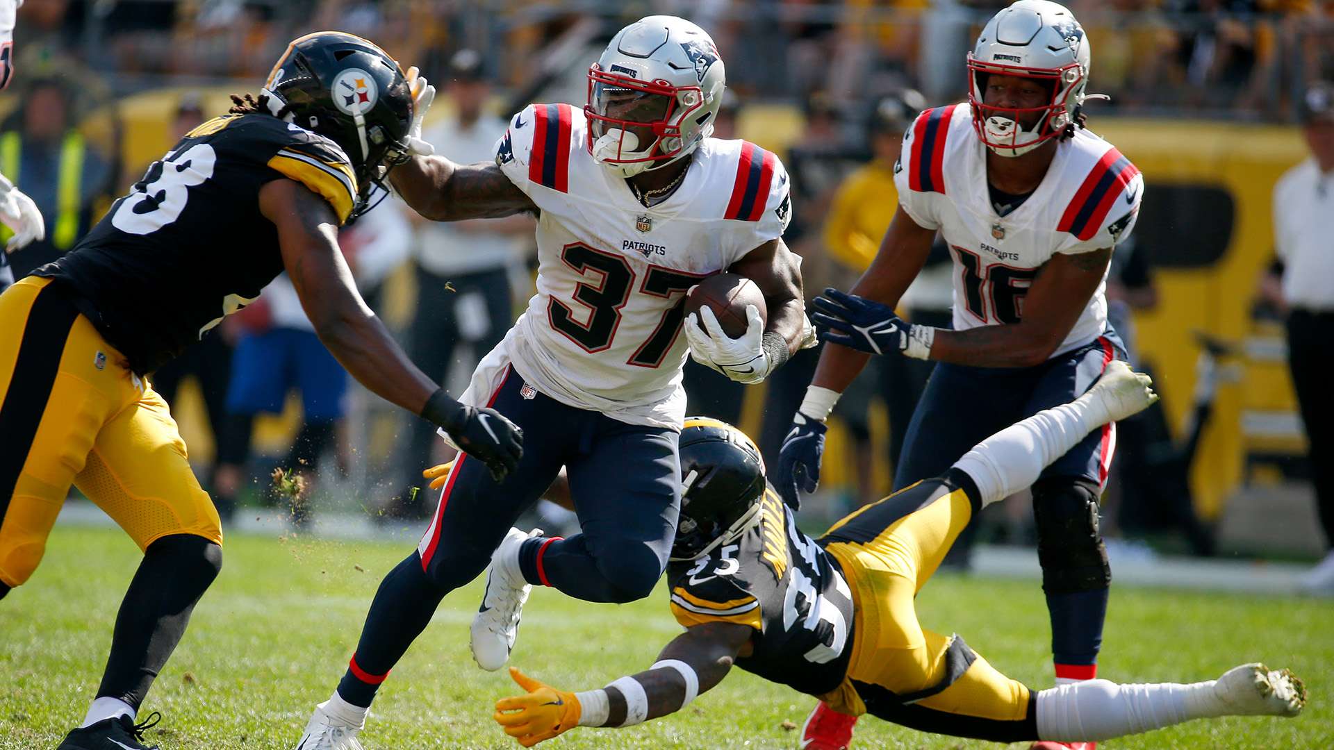 年的主题 年的主题